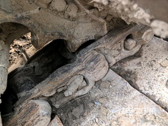 右侧履带整体（行走机构）