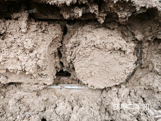 右驱动轮（行走机构）