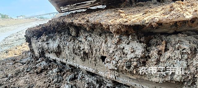 单侧履带整体（整机外观）