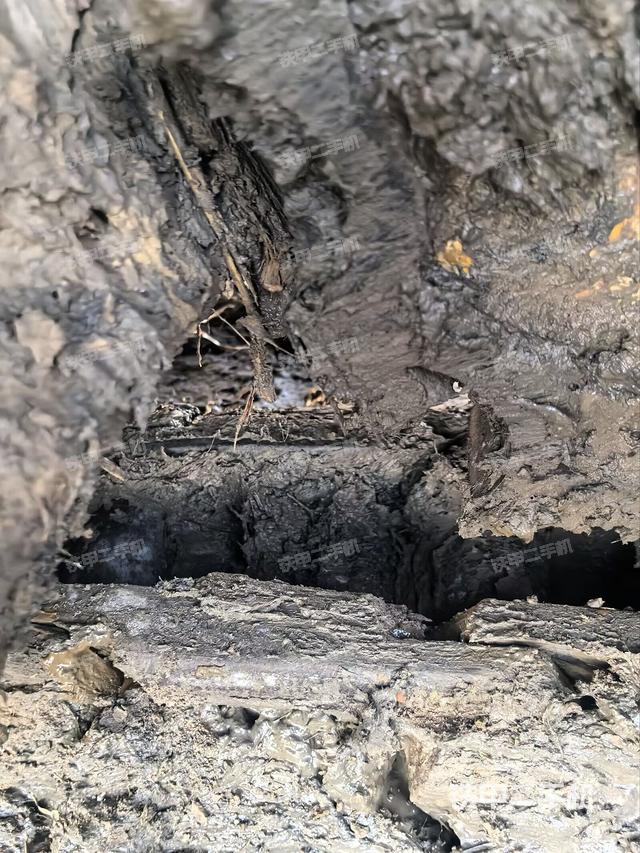 右驱动轮（行走机构）