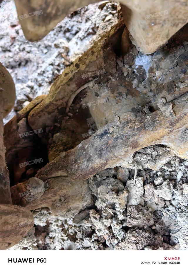 单侧履带整体（整机外观）