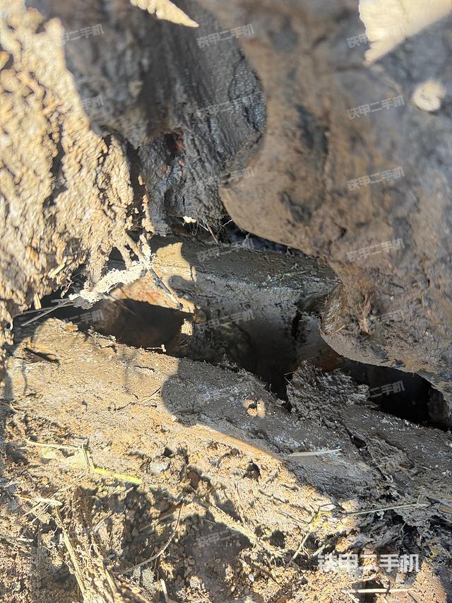 單側履帶整體（整機外觀）