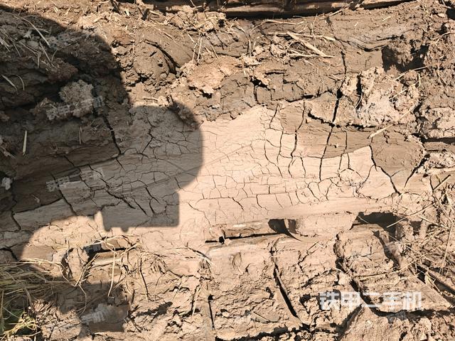 左驱动轮（行走机构）