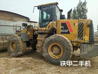 雷沃重工FL955F裝載機實拍圖片