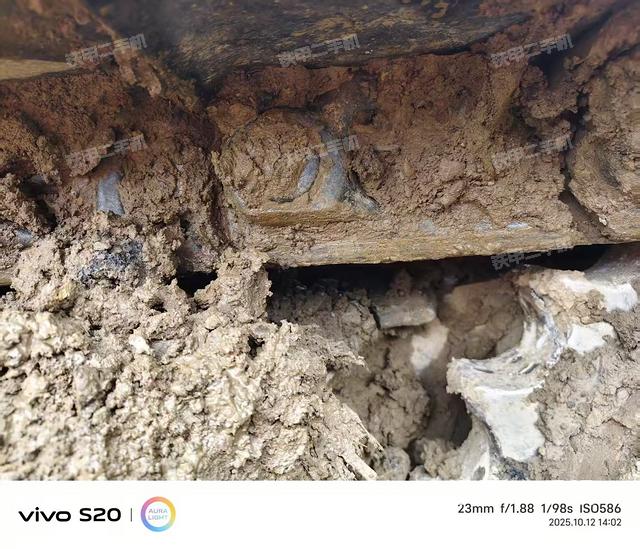 單側(cè)履帶整體（整機(jī)外觀）