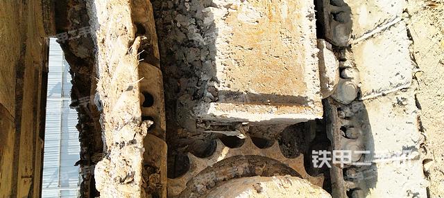 單側履帶整體（整機外觀）