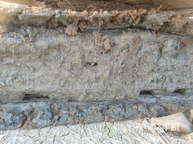 左托链轮和链筋（行走机构）