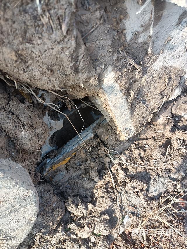 单侧履带整体（整机外观）