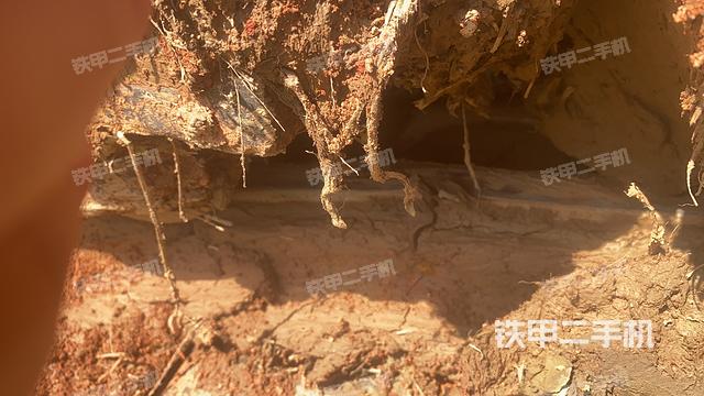 单侧履带整体（整机外观）