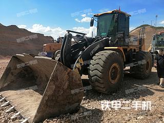 伊犁哈萨克自治州出售 徐工 LW700HV 装载机